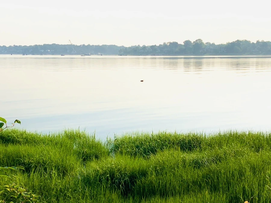 IMG_6462.jpg?type=w966