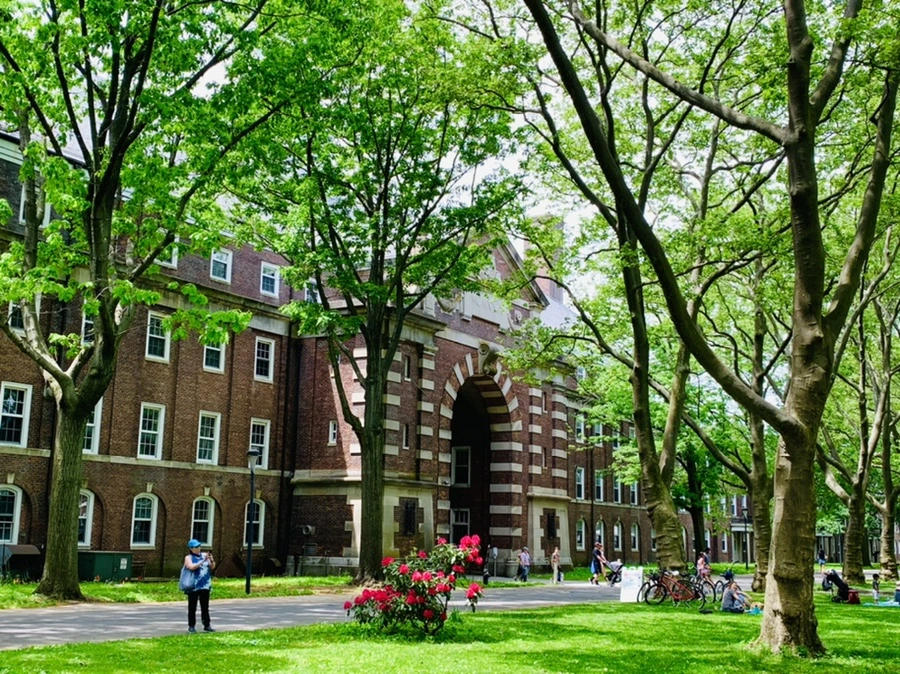 IMG_5094.jpg?type=w966