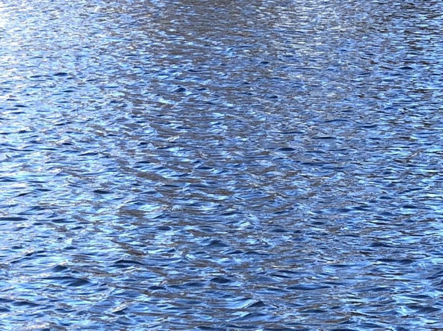 IMG_3842.jpg?type=w966