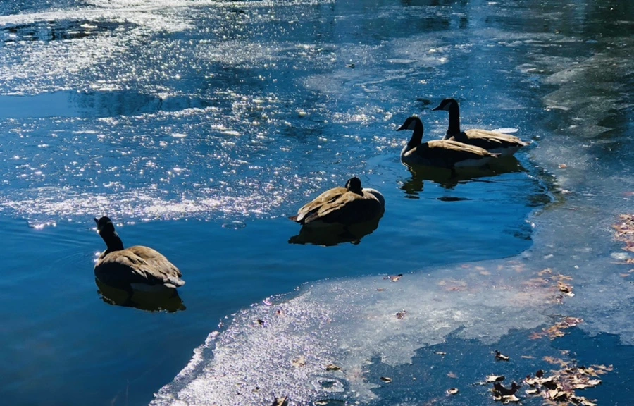 IMG_7751.jpg?type=w966