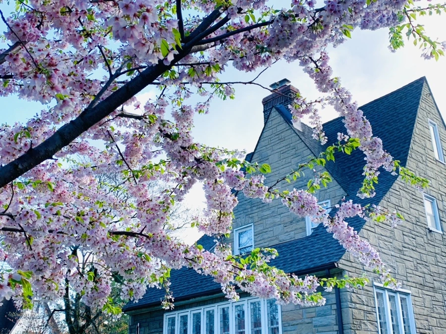 IMG_2614.jpg?type=w966