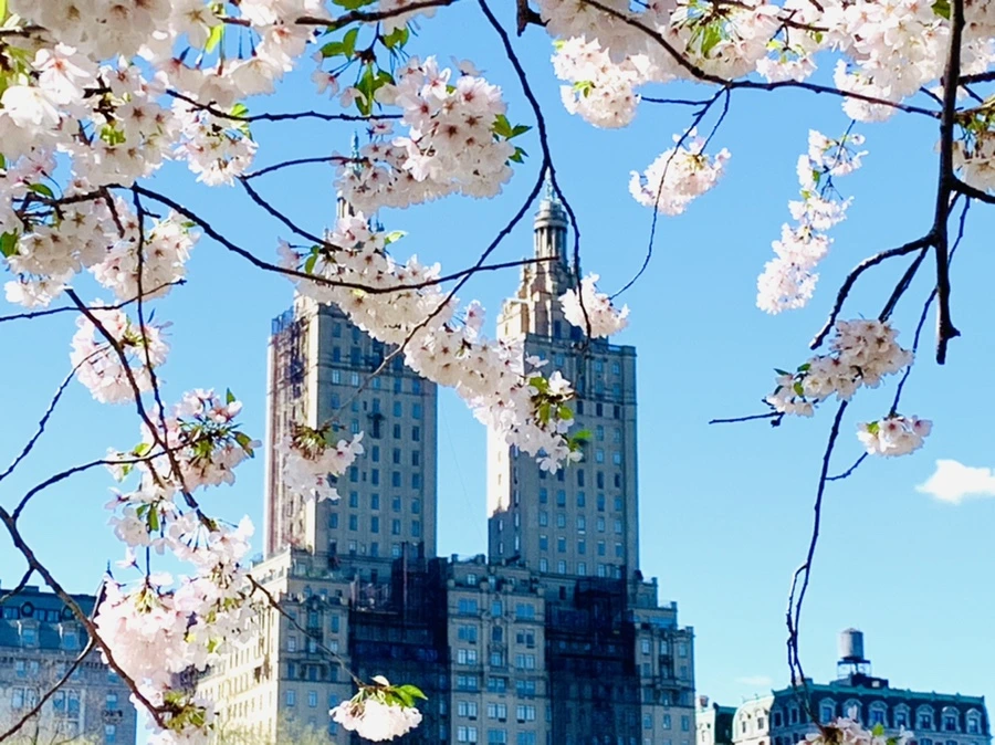 IMG_1916.jpg?type=w966