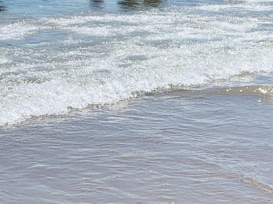 IMG_8797.jpg?type=w966