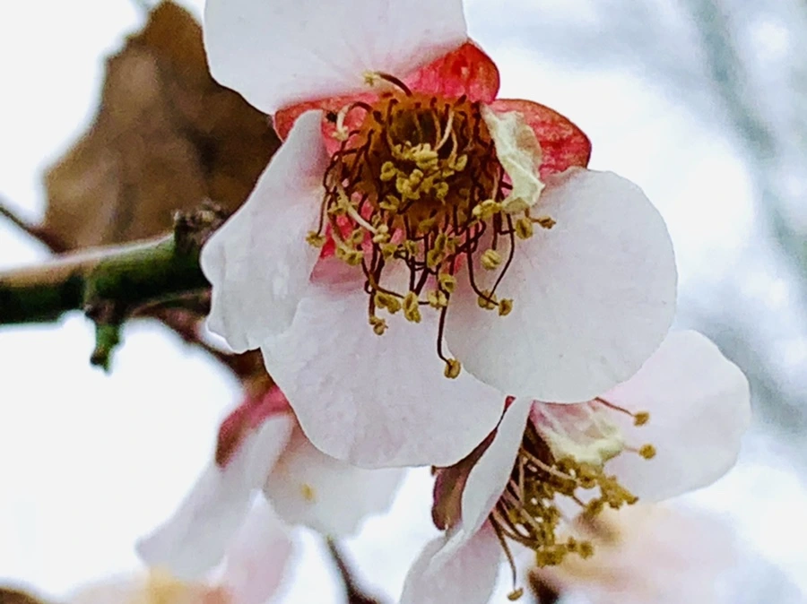 IMG_3656.jpg?type=w966