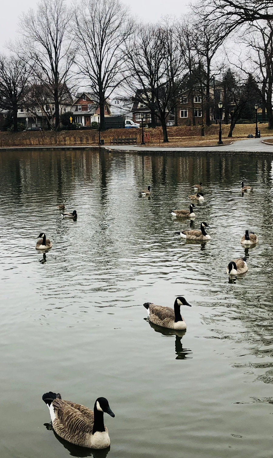 IMG_0037.jpg?type=w966