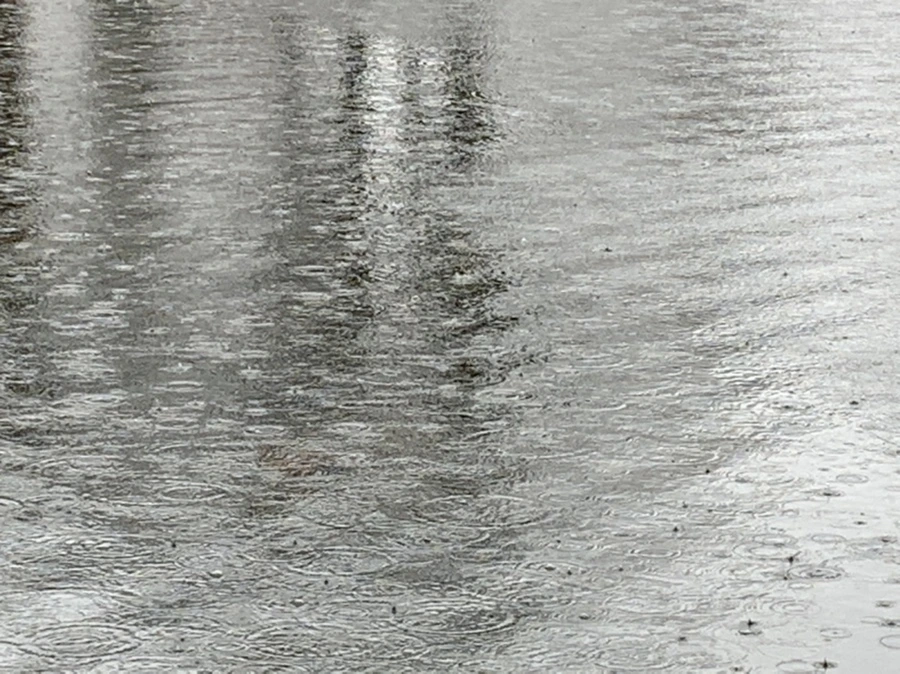 IMG_2089.jpg?type=w966