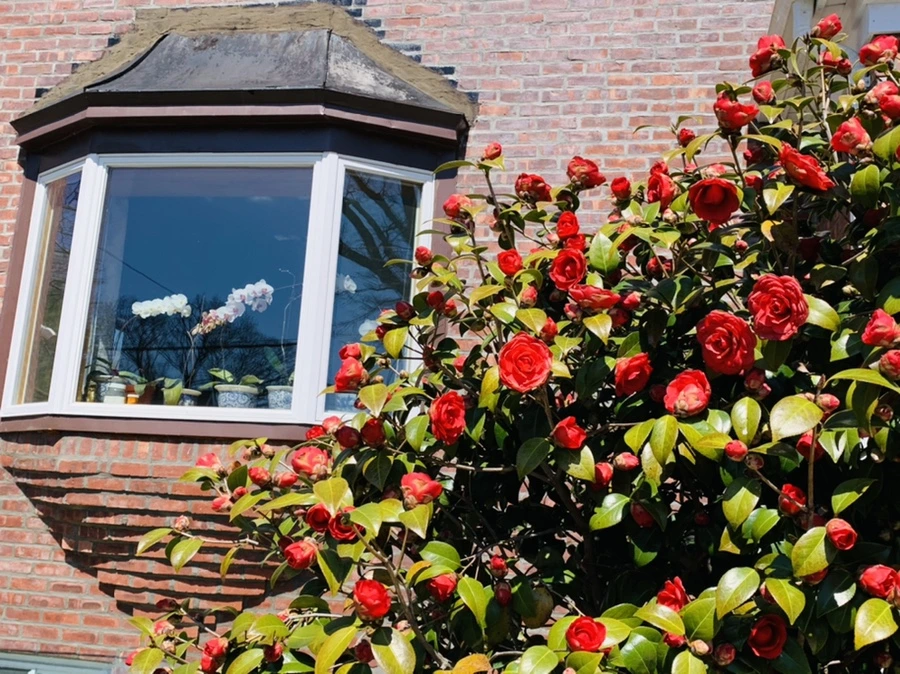 IMG_7756.jpg?type=w966