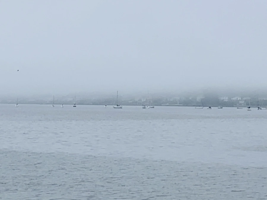 IMG_5084.jpg?type=w966