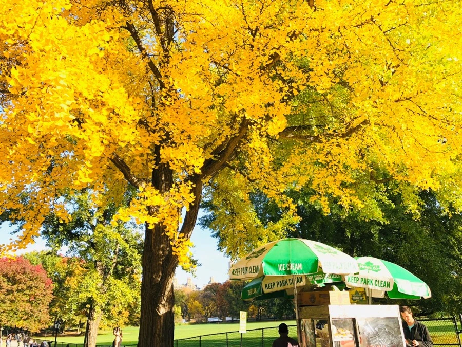 IMG_7553.jpg?type=w966