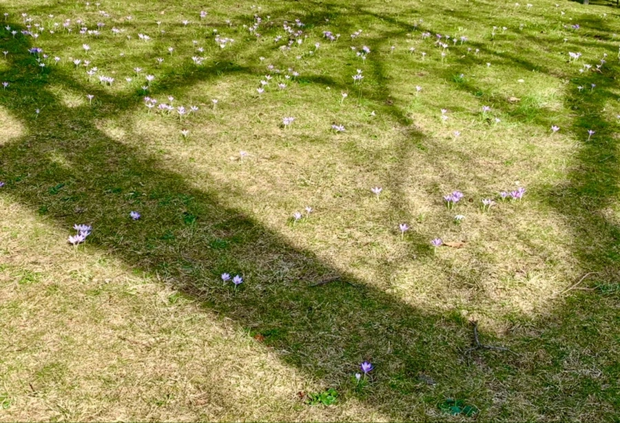 IMG_0184.jpg?type=w966