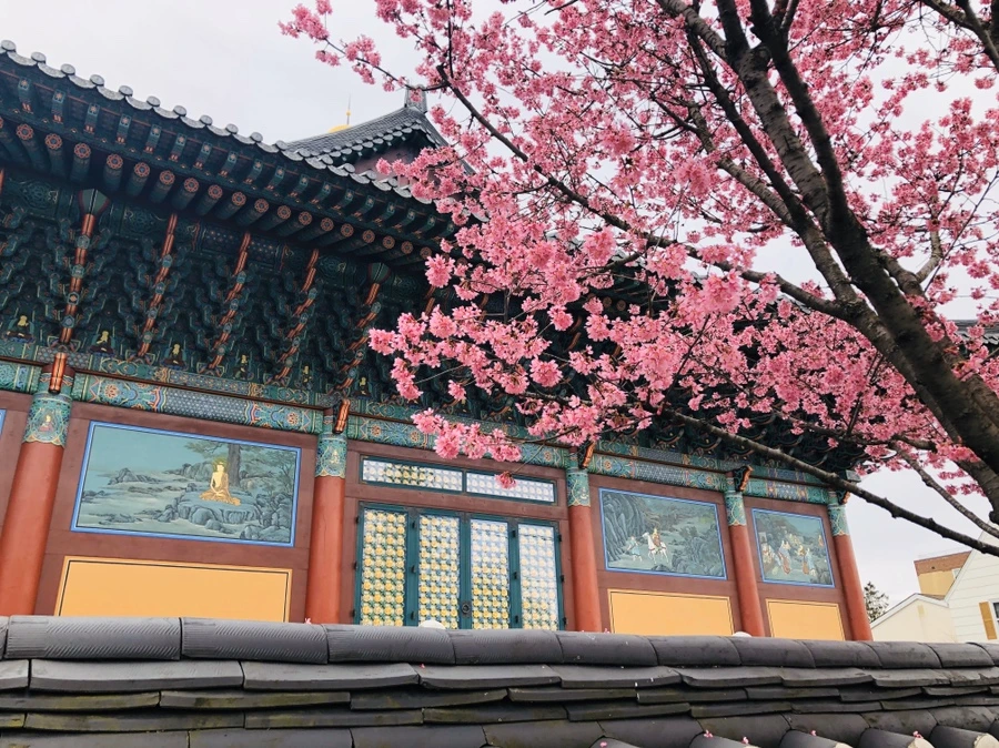 IMG_6121.jpg?type=w966