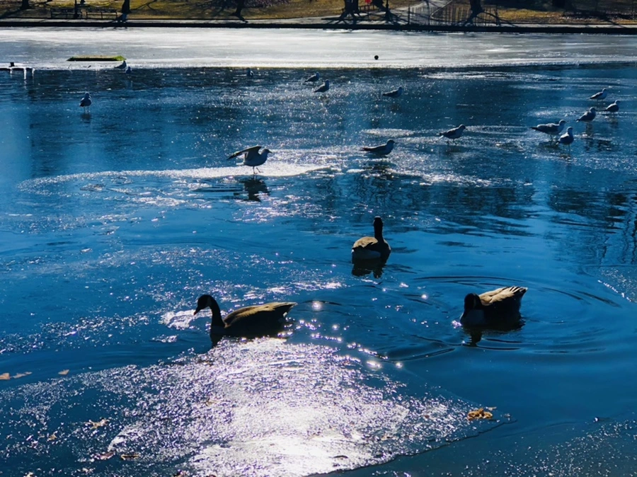 IMG_8114.jpg?type=w966