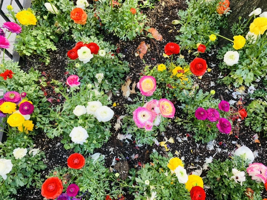 IMG_5419.jpg?type=w966