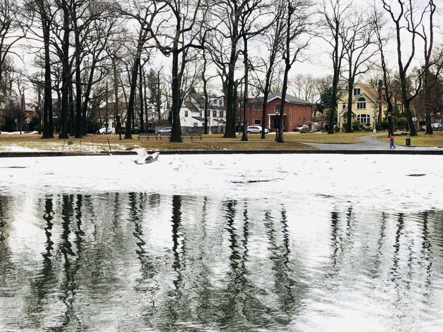 IMG_6456.jpg?type=w966