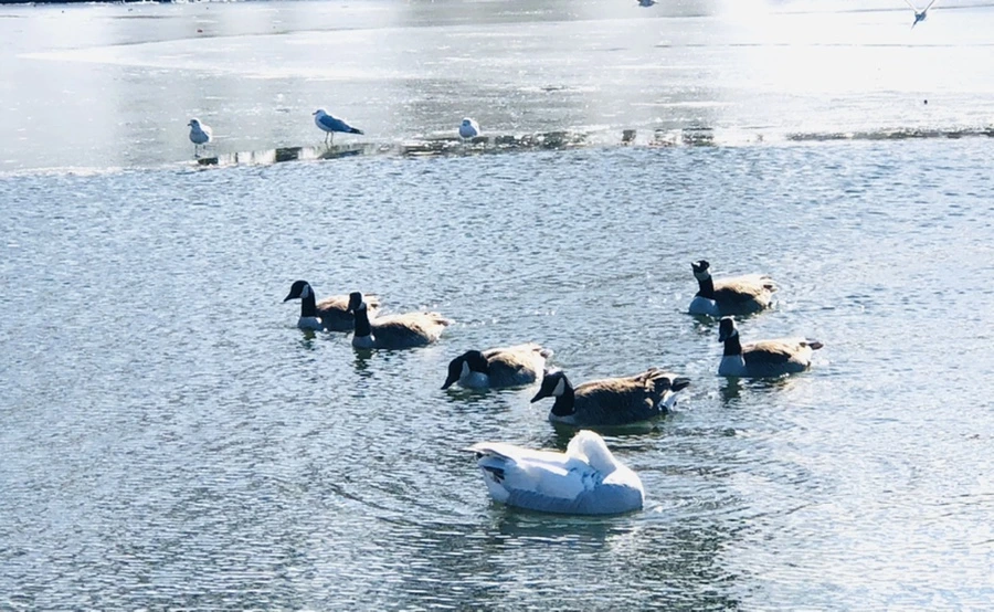 IMG_6721.jpg?type=w966