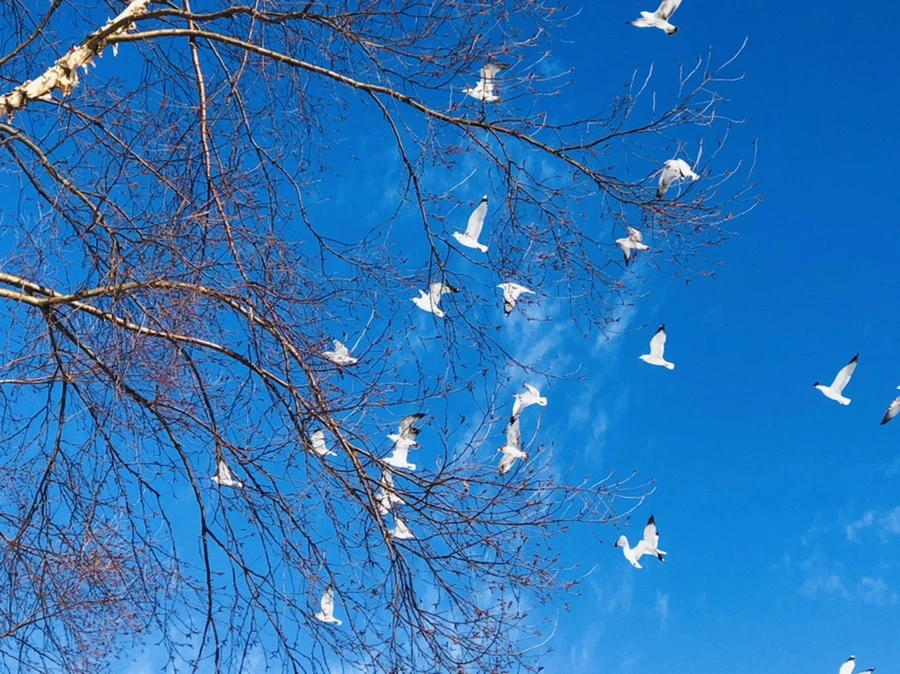 IMG_0244.jpg?type=w966