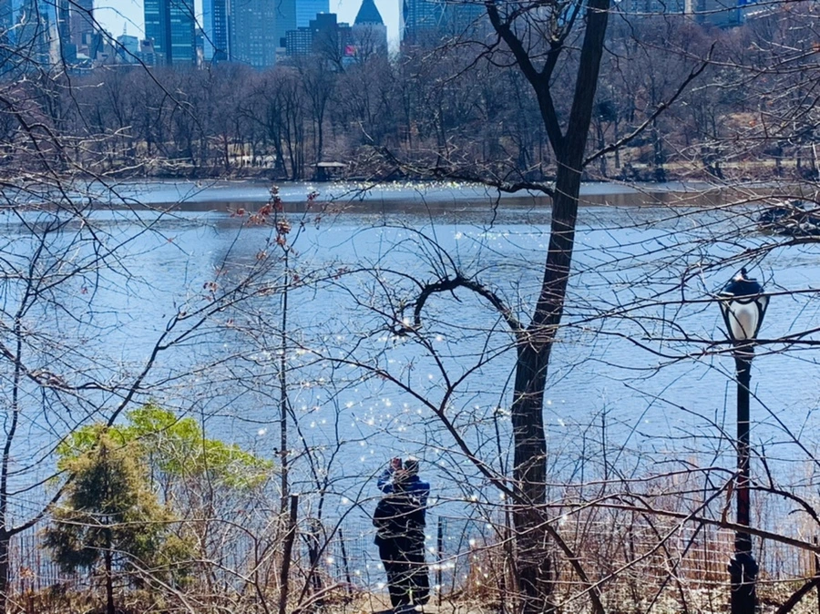 IMG_0719.jpg?type=w966