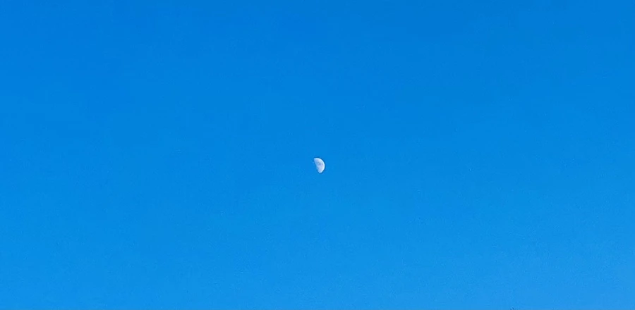 IMG_4831.jpg?type=w966