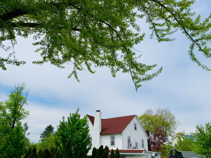 IMG_9632.jpg?type=w966