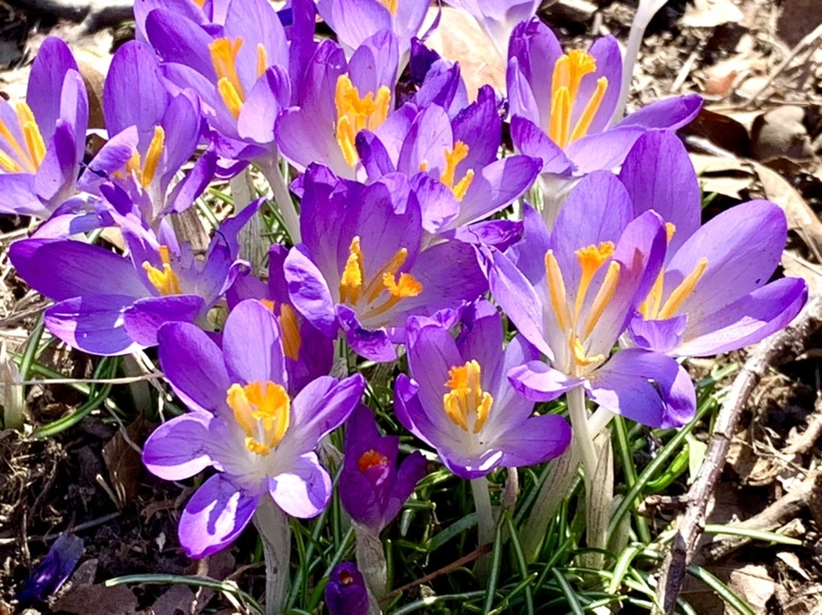 IMG_9791.jpg?type=w966