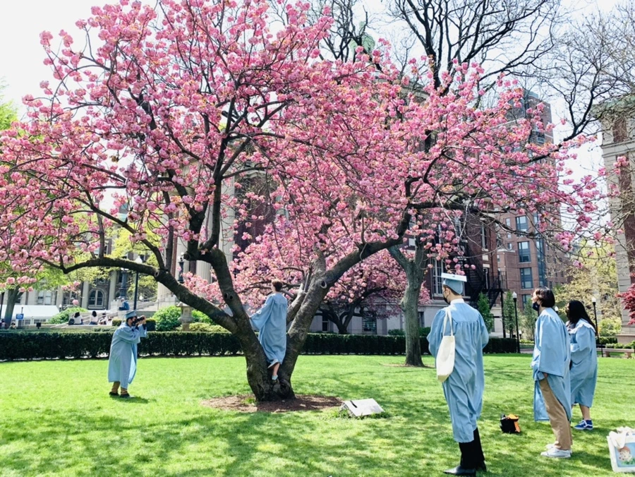 IMG_5090.jpg?type=w966