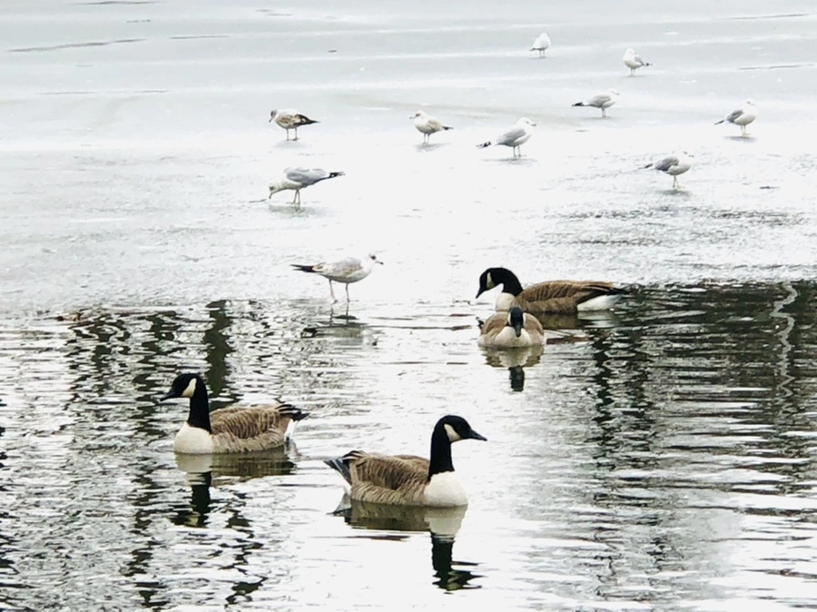 IMG_6442.jpg?type=w966