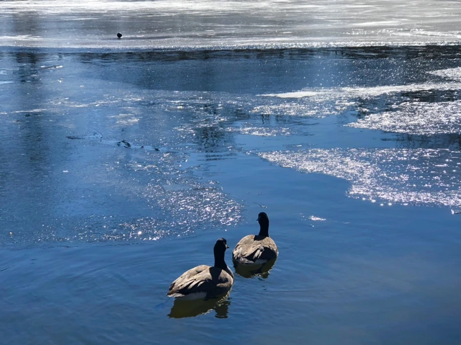 IMG_7719.jpg?type=w966