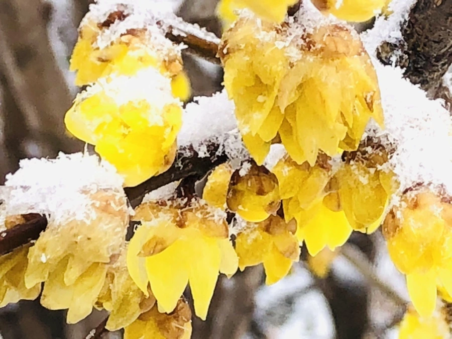 IMG_3534.jpg?type=w966