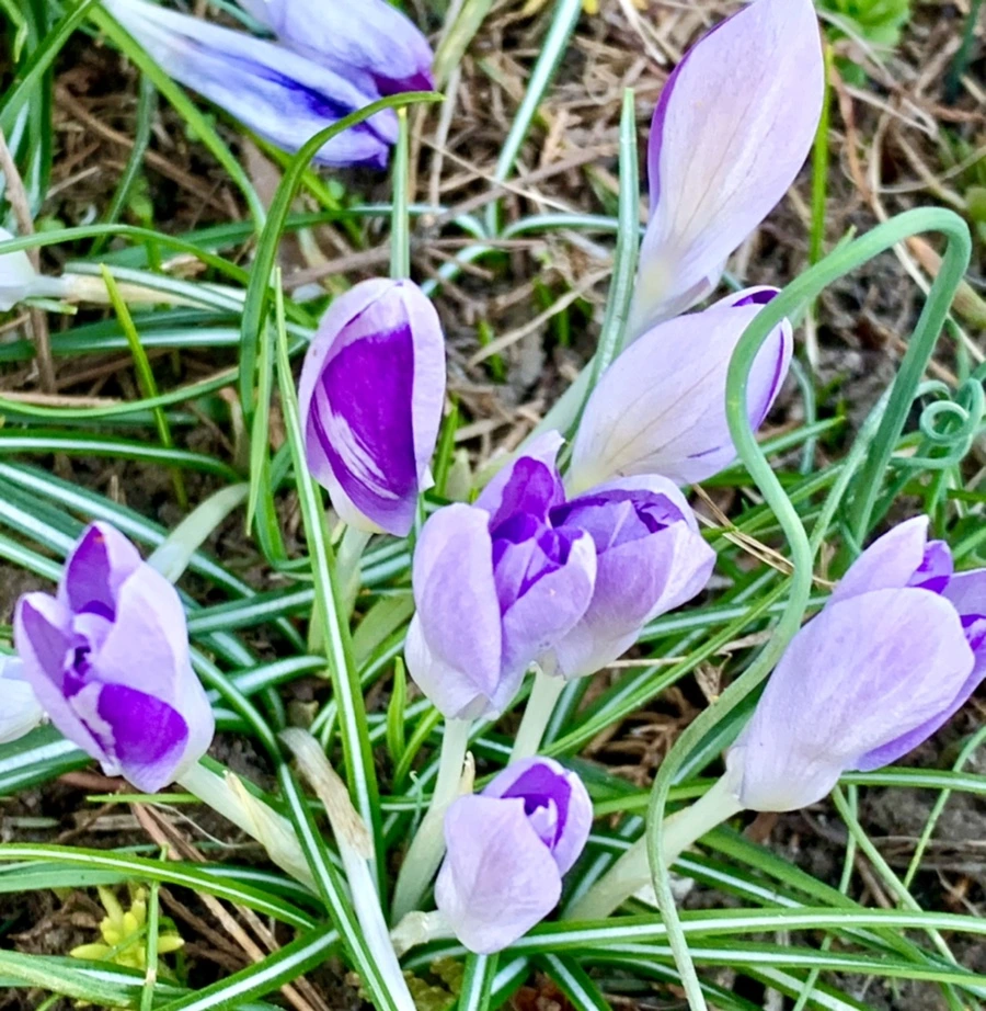 IMG_0760.jpg?type=w966