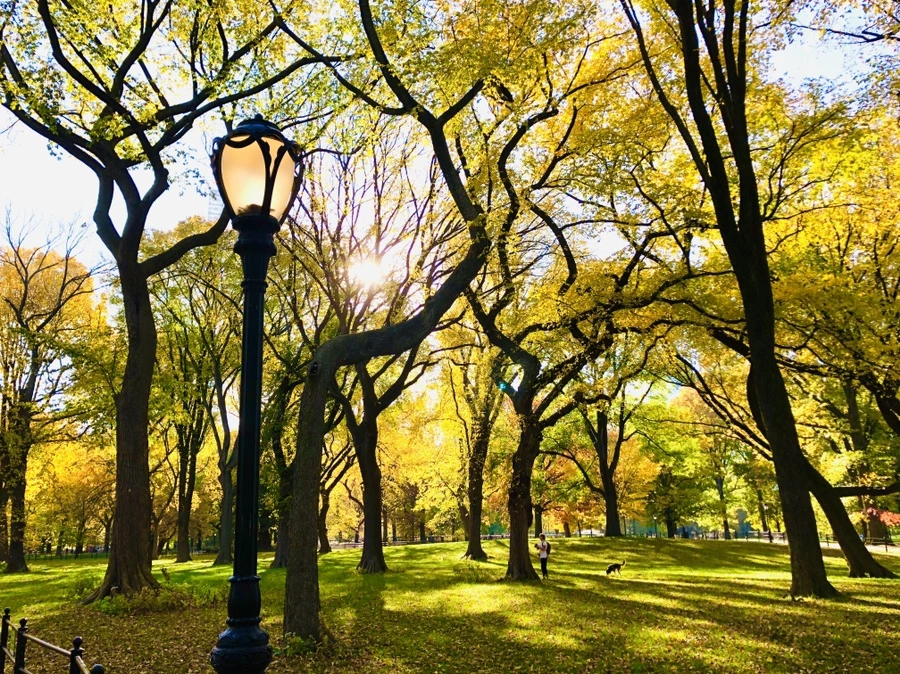 IMG_3497.jpg?type=w966