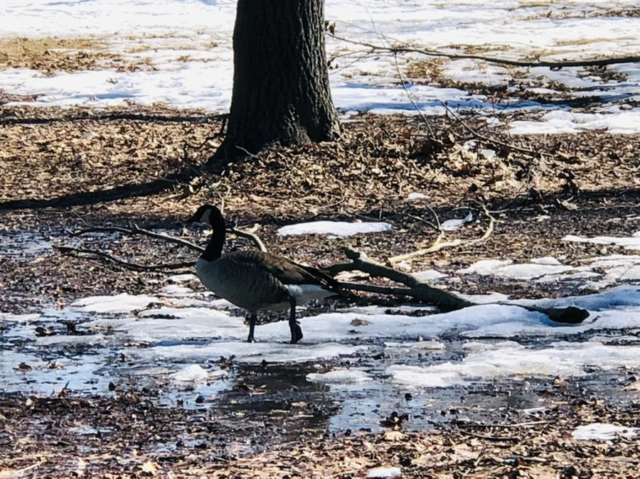 IMG_4673.jpg?type=w966