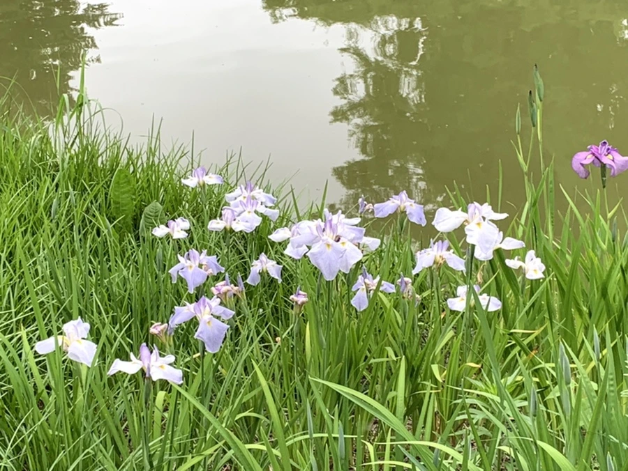 IMG_2975.jpg?type=w966