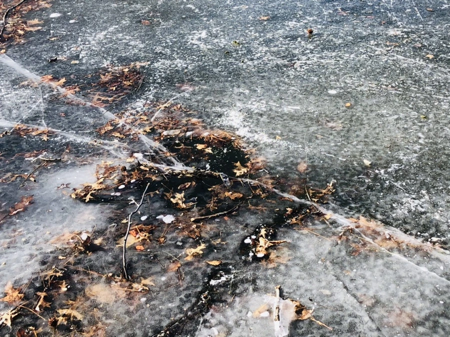 IMG_7913.jpg?type=w966