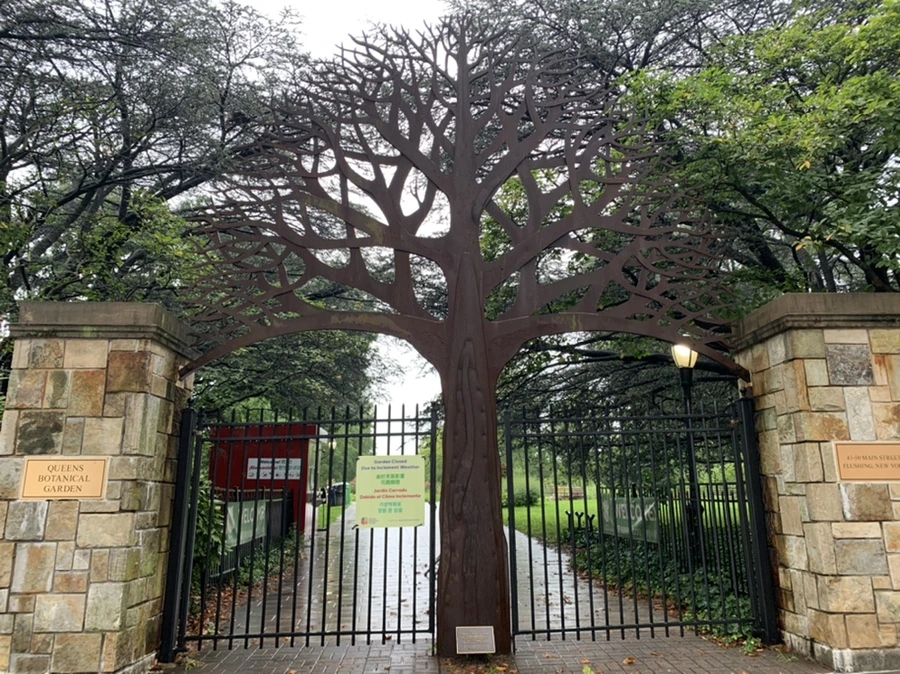 IMG_3729.jpg?type=w966