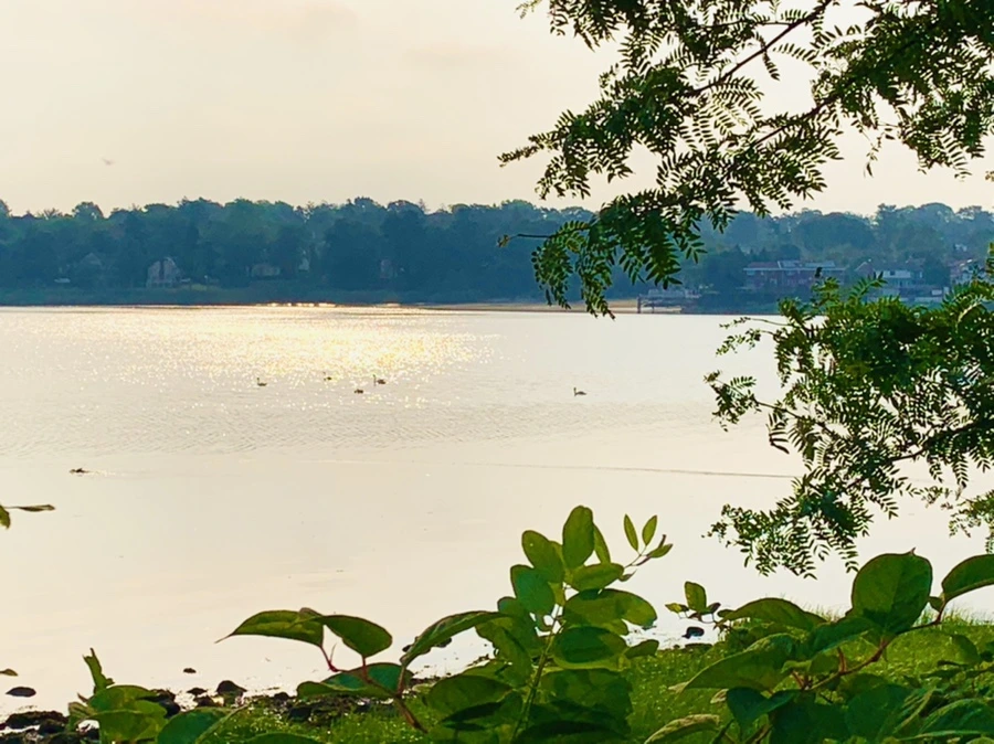 IMG_2226.jpg?type=w966