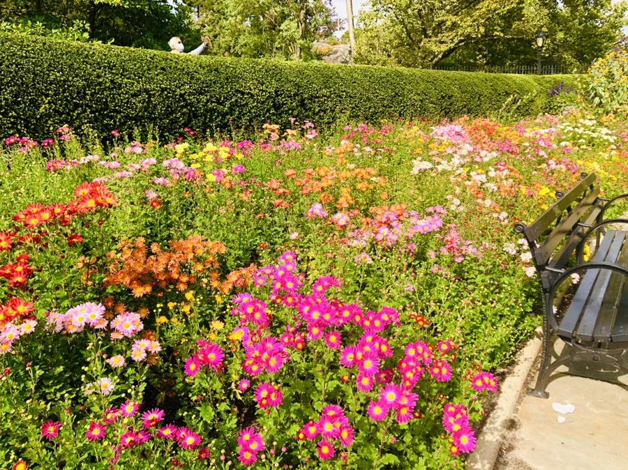 IMG_1943.jpg?type=w966