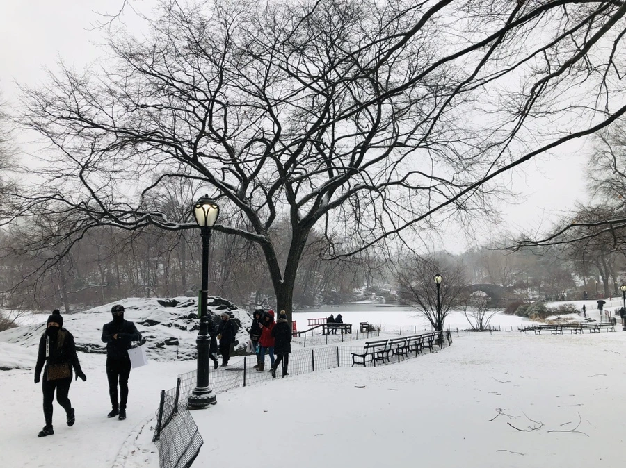 IMG_9528.jpg?type=w966