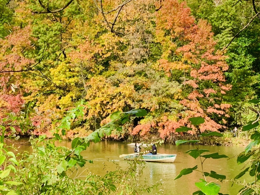 IMG_0155.jpg?type=w966