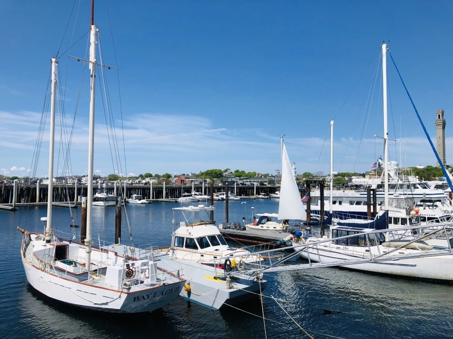 IMG_5004.jpg?type=w966