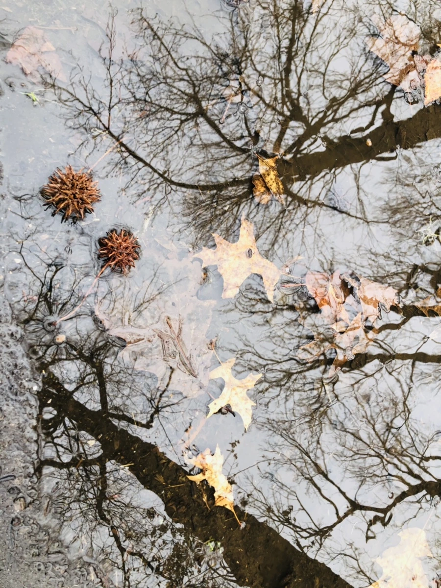 IMG_9536.jpg?type=w966