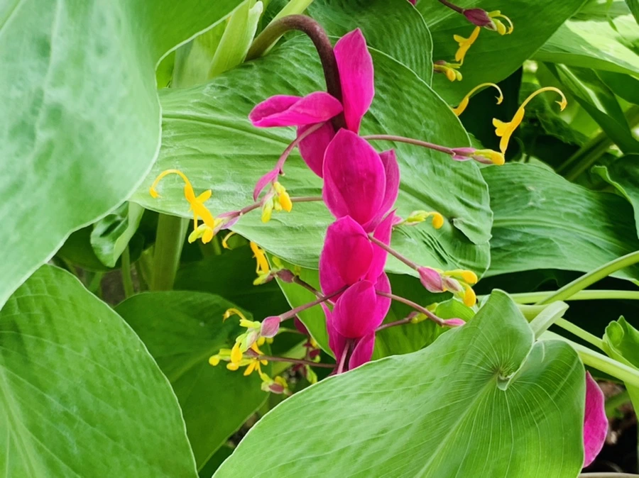 IMG_9389.jpg?type=w966