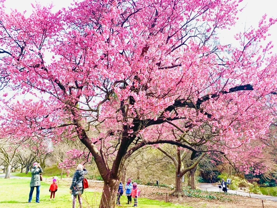 7tX-hztmyE01shH9oe6TtVYIi6o