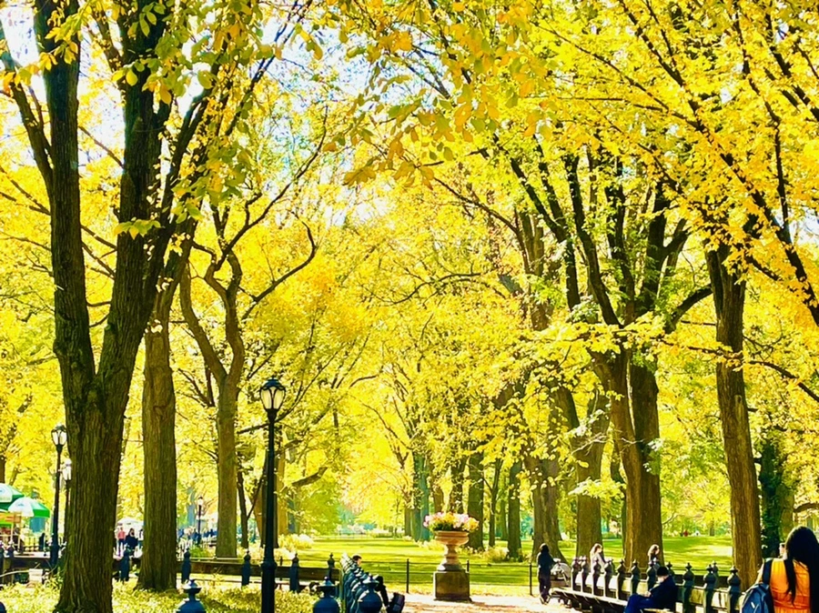 IMG_1610.jpg?type=w966