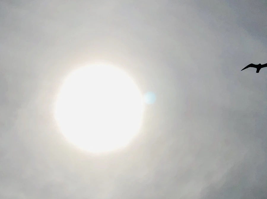 IMG_3111.jpg?type=w966