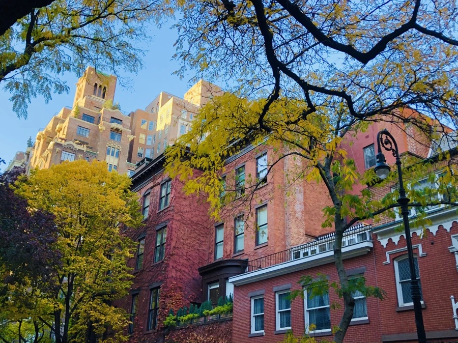 IMG_4176.jpg?type=w966