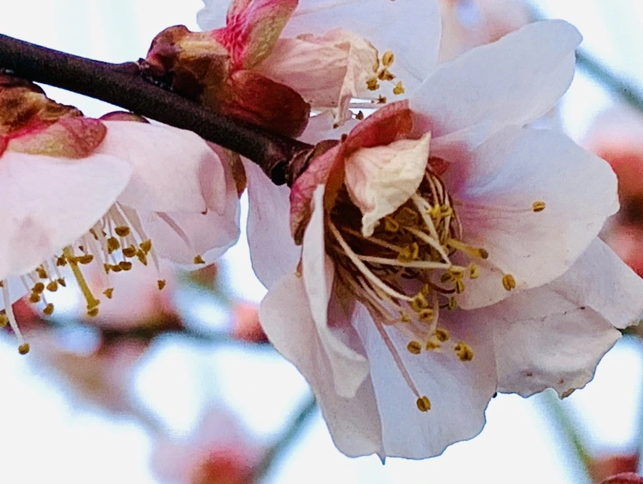 IMG_2776.jpg?type=w966