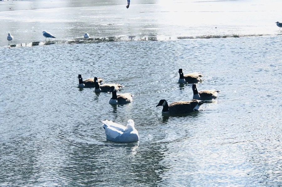 IMG_6720.jpg?type=w966