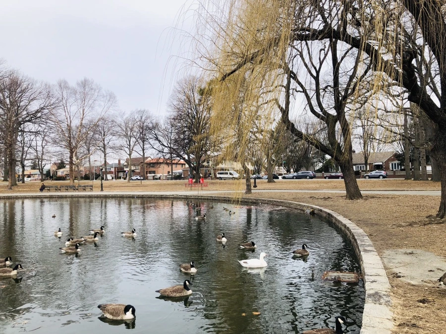 IMG_9367.jpg?type=w966