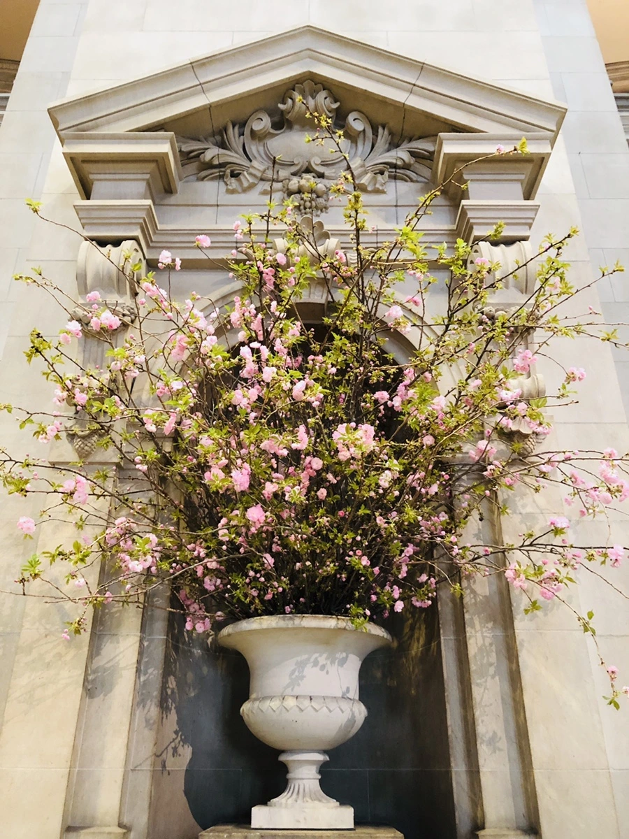 IMG_3576.jpg?type=w966