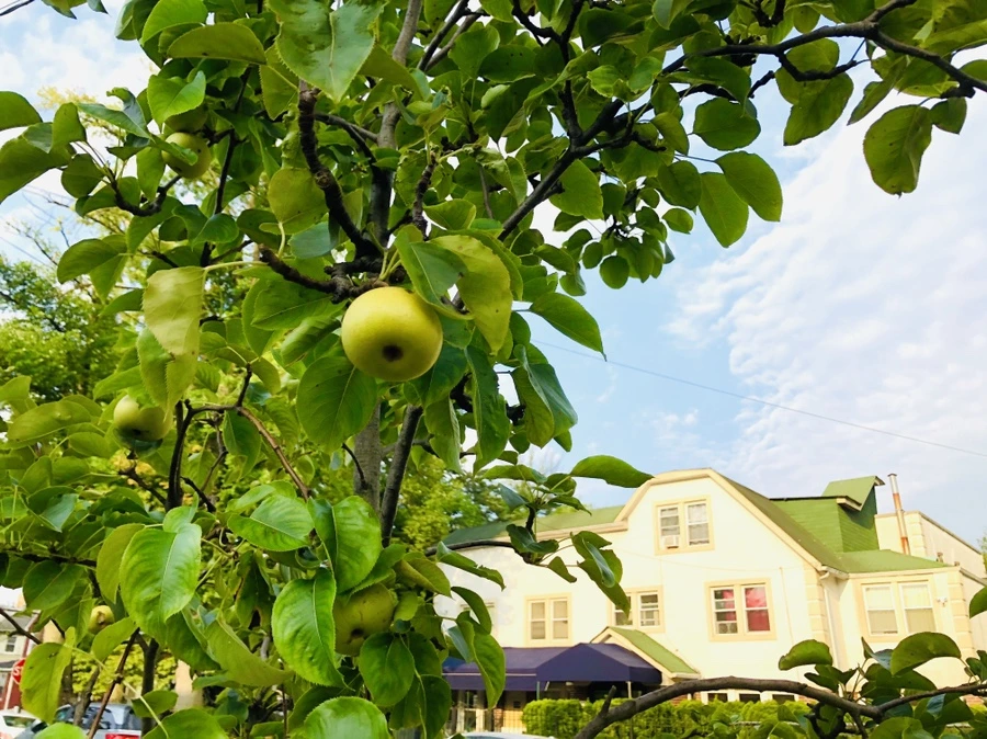 IMG_3682.jpg?type=w966